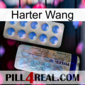Hard Wang 39